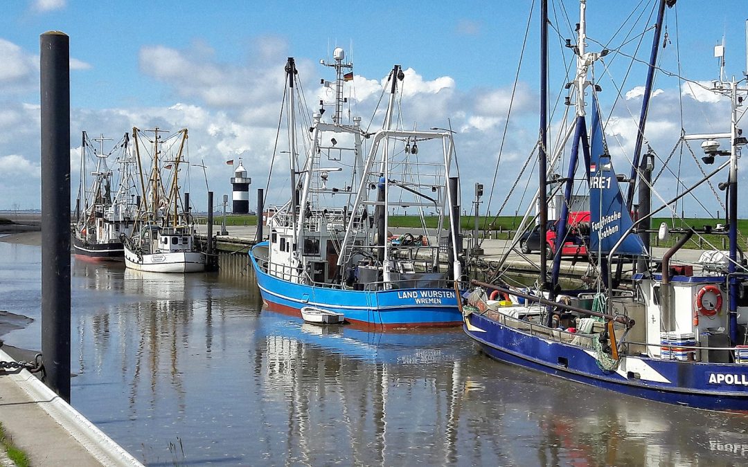 La Comisión de Pesca del PE cuestiona la reserva de ajuste del ‘brexit’ y anuncia enmiendas para garantizar apoyo al sector