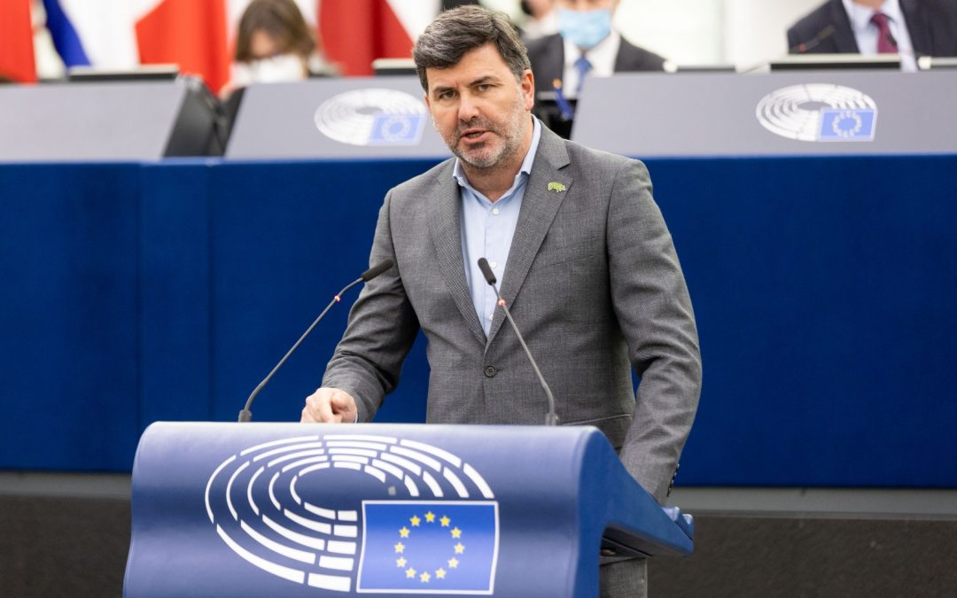 González Casares: «Sin interconexiones, no habrá un verdadero mercado único europeo de la energía»