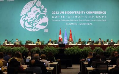 Biodiversidad: Montreal queda lejos de Galicia